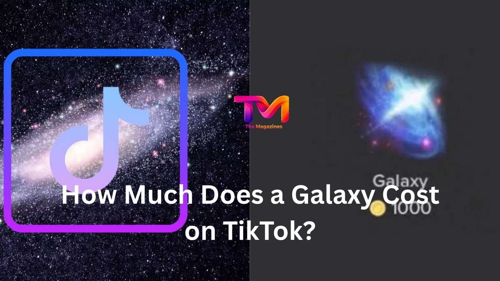 how much does a galaxy cost on tiktok
