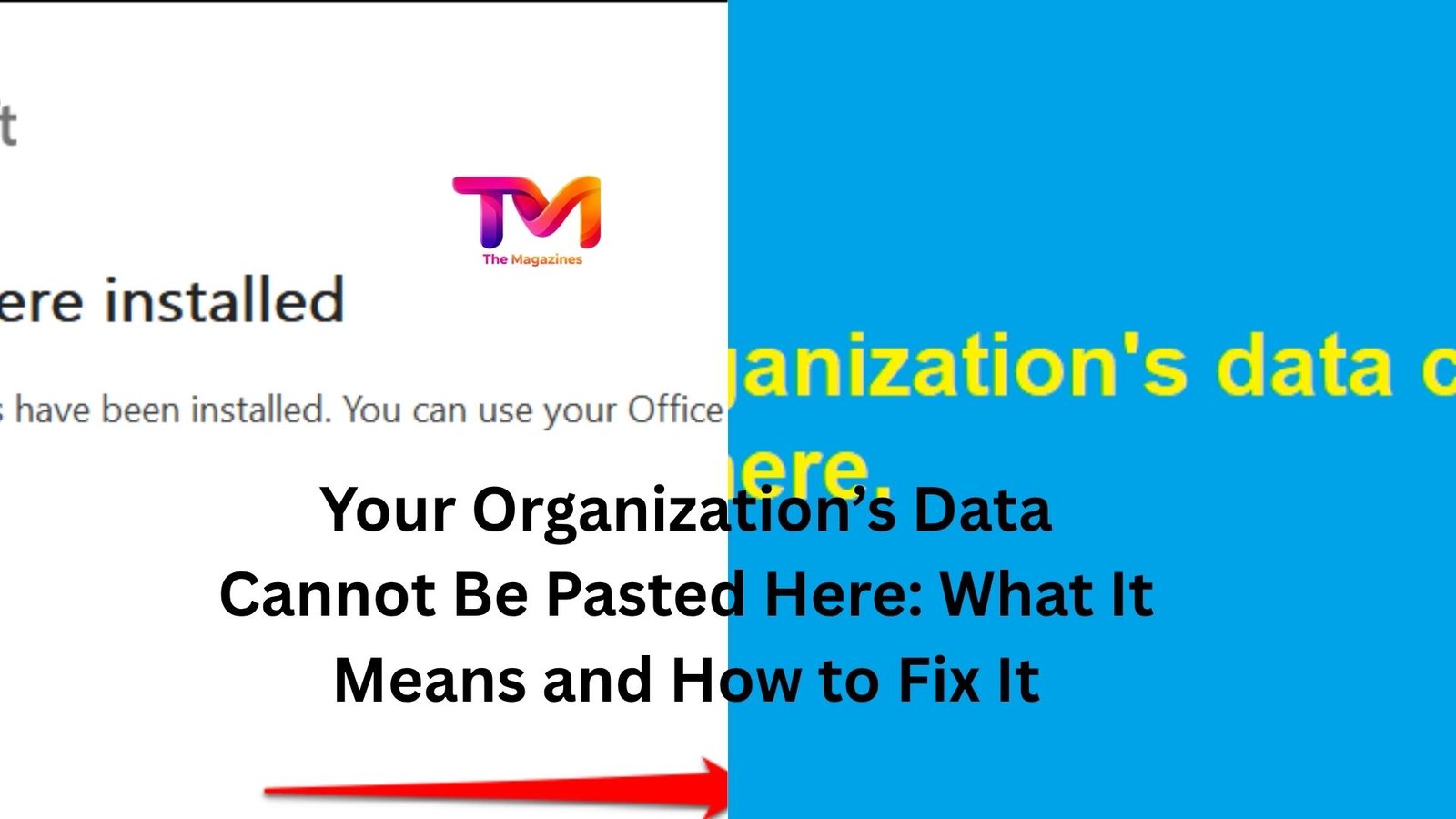 your organization's data cannot be pasted here.