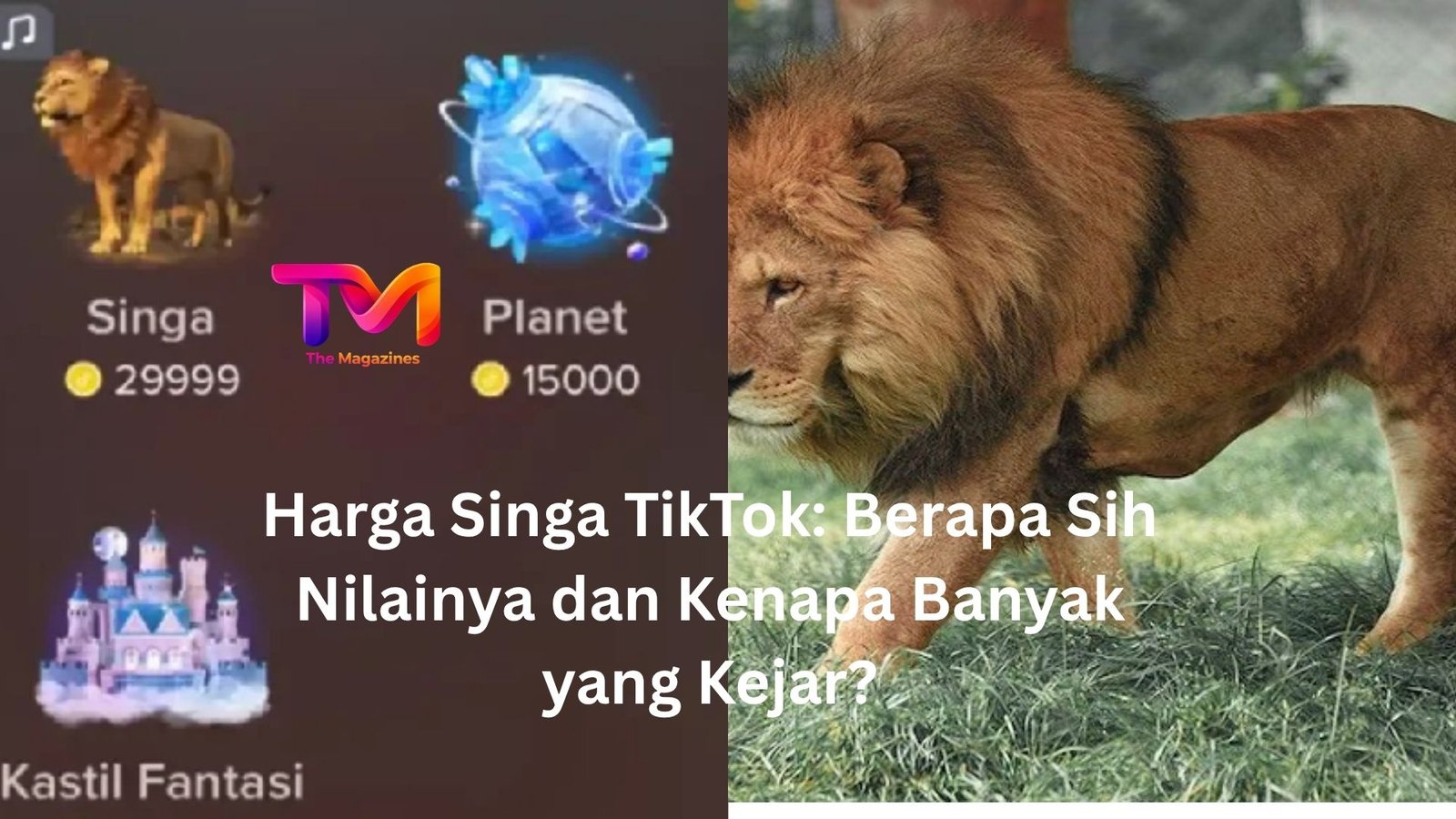 harga singa tiktok