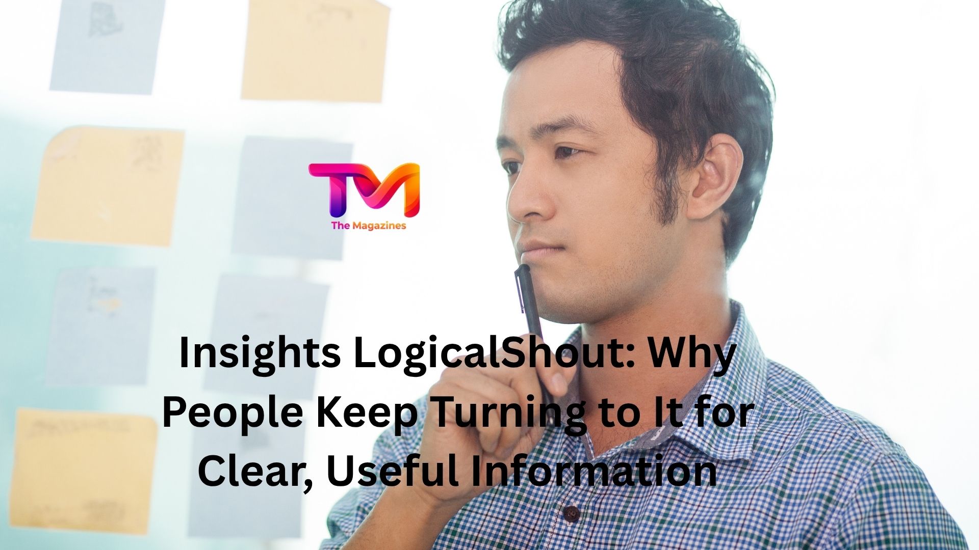 insights logicalshout