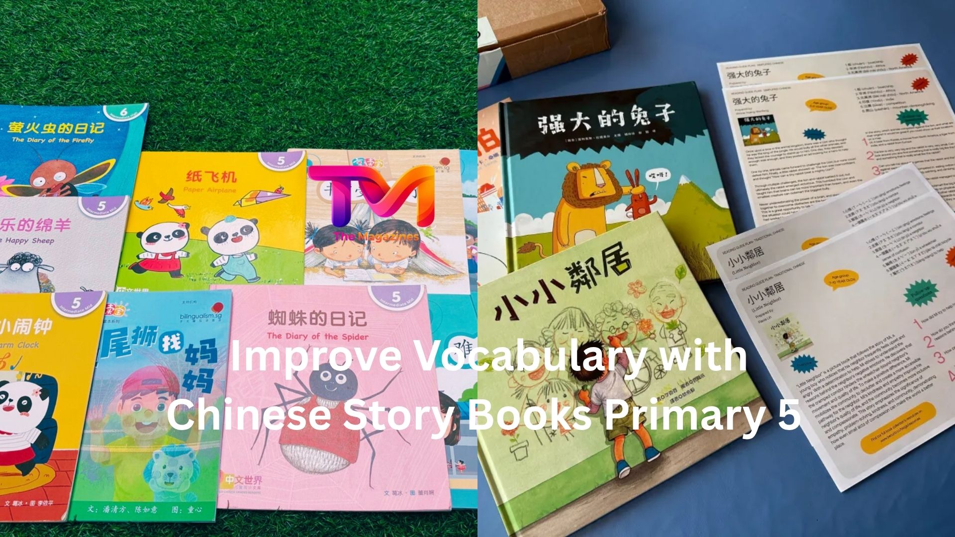 Improve Vocabulary with Chinese Story Books Primary 5