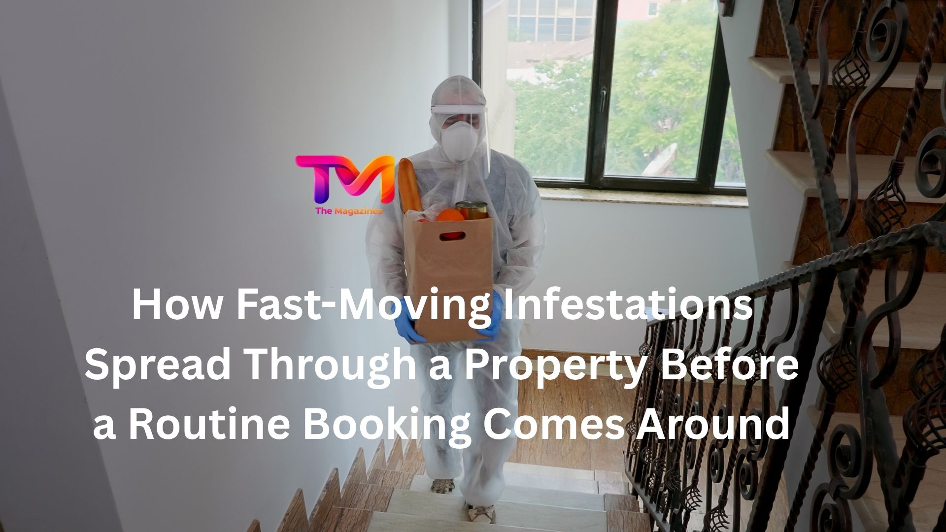 How Fast-Moving Infestations Spread Through a Property Before a Routine Booking Comes Around