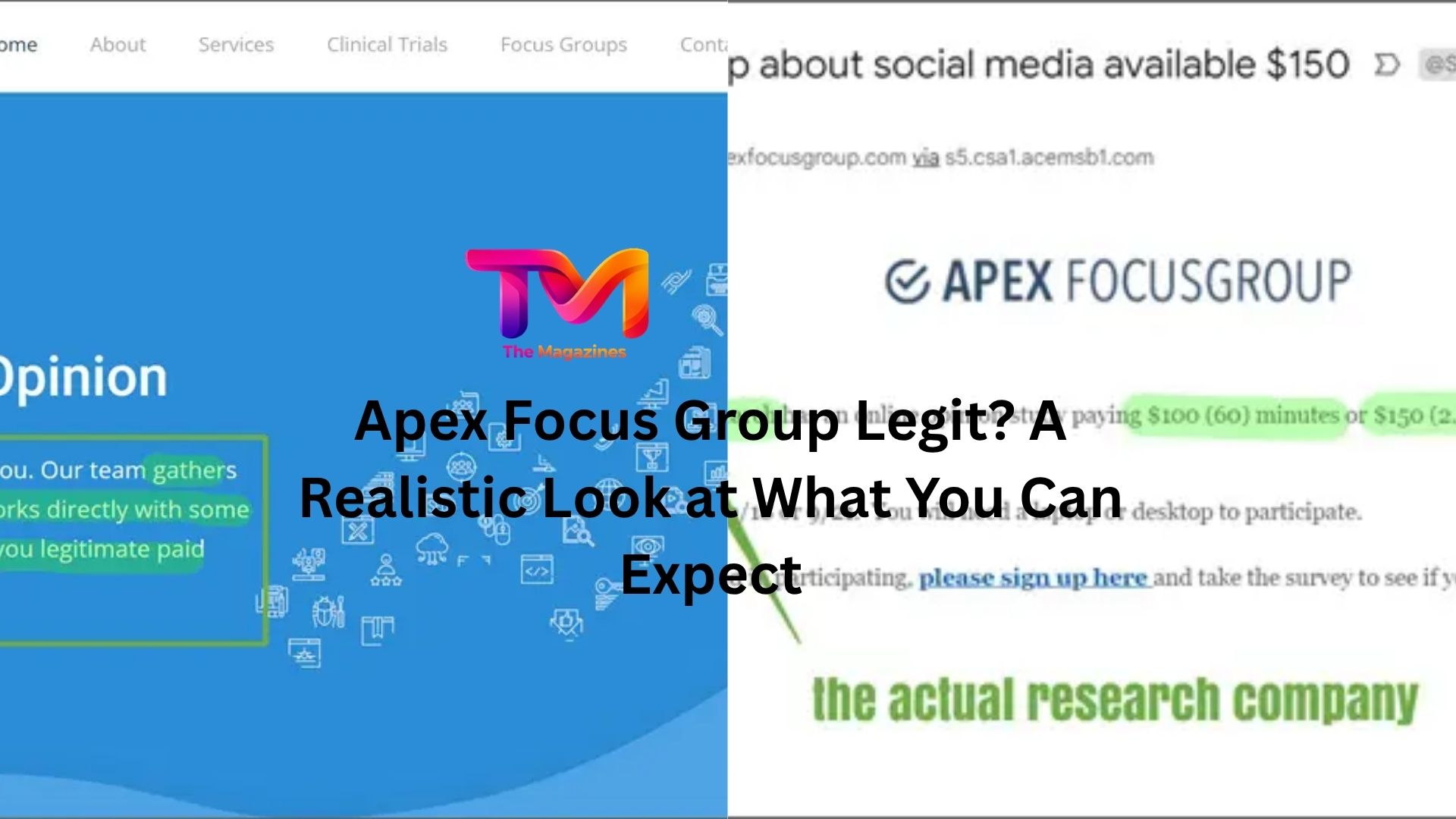 apex focus group legit