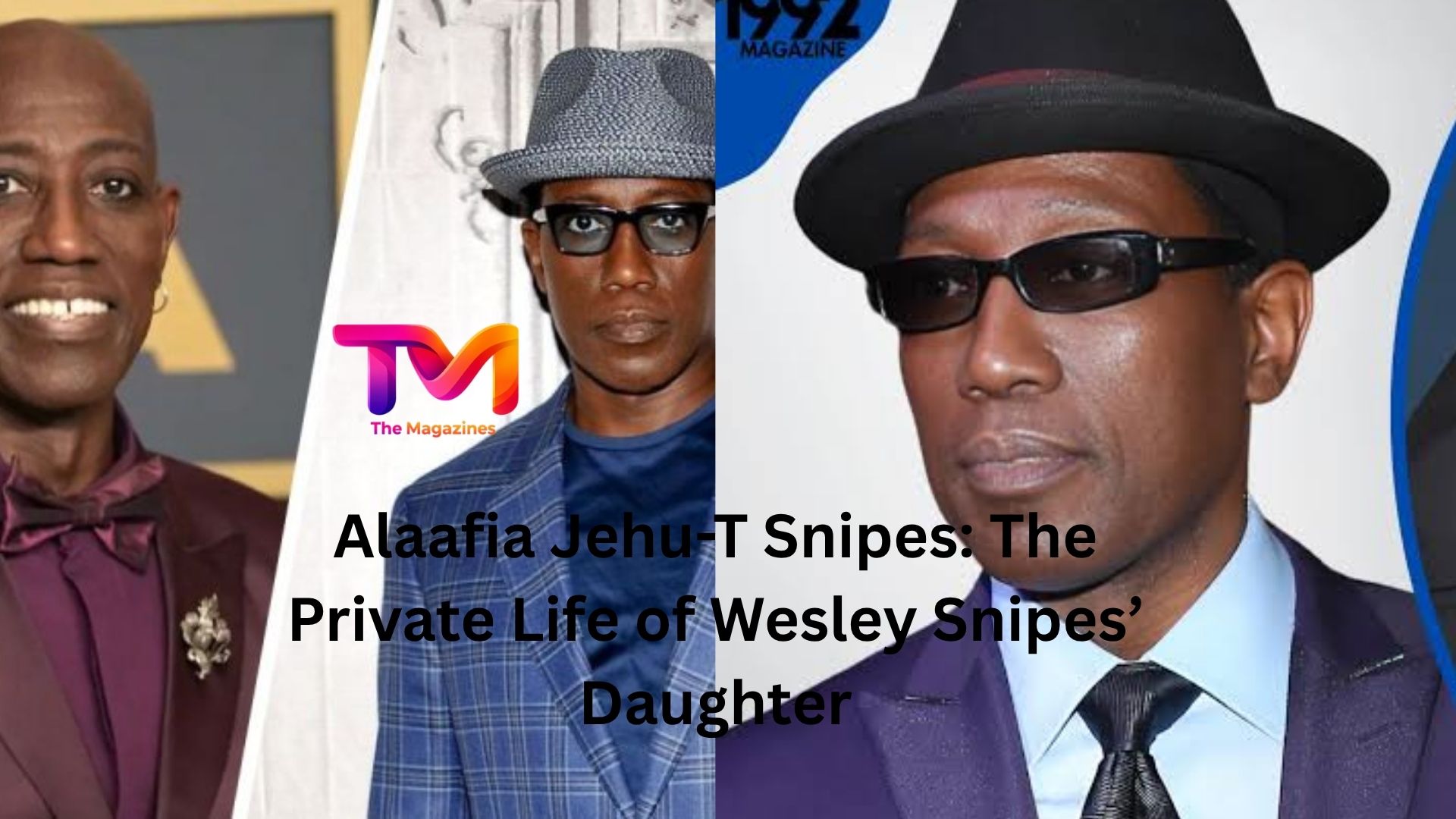 alaafia jehu-t snipes