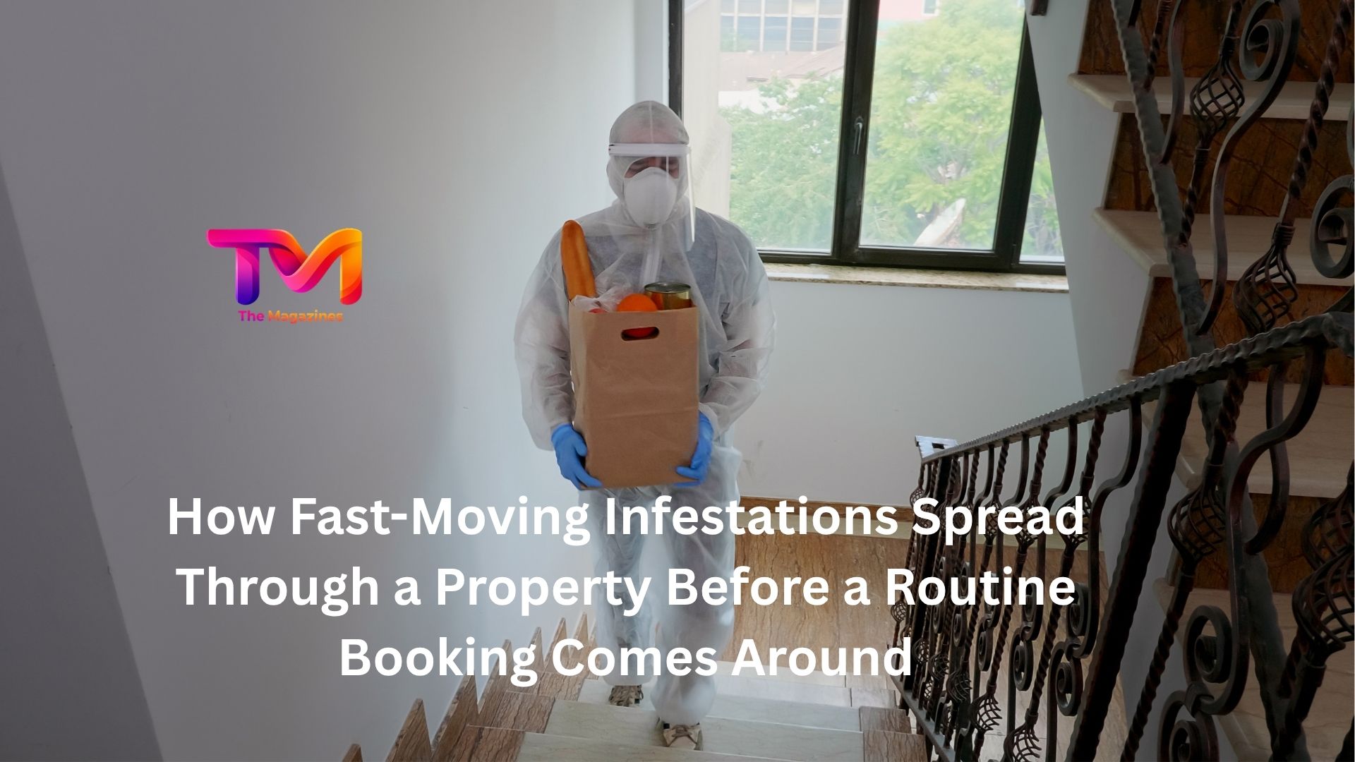 How Fast-Moving Infestations Spread Through a Property Before a Routine Booking Comes Around