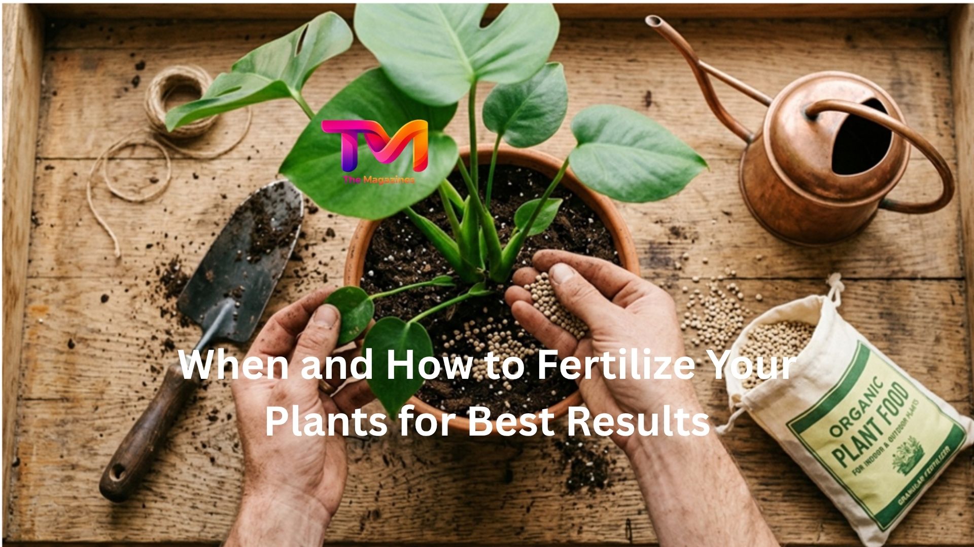 When and How to Fertilize Your Plants for Best Results